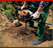 earth auger