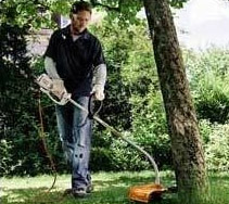 arborist saws