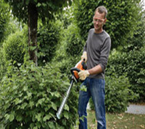 arborist saws